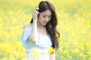 上海农业科技园区的建设考察 上海农业科技园区的建设考察